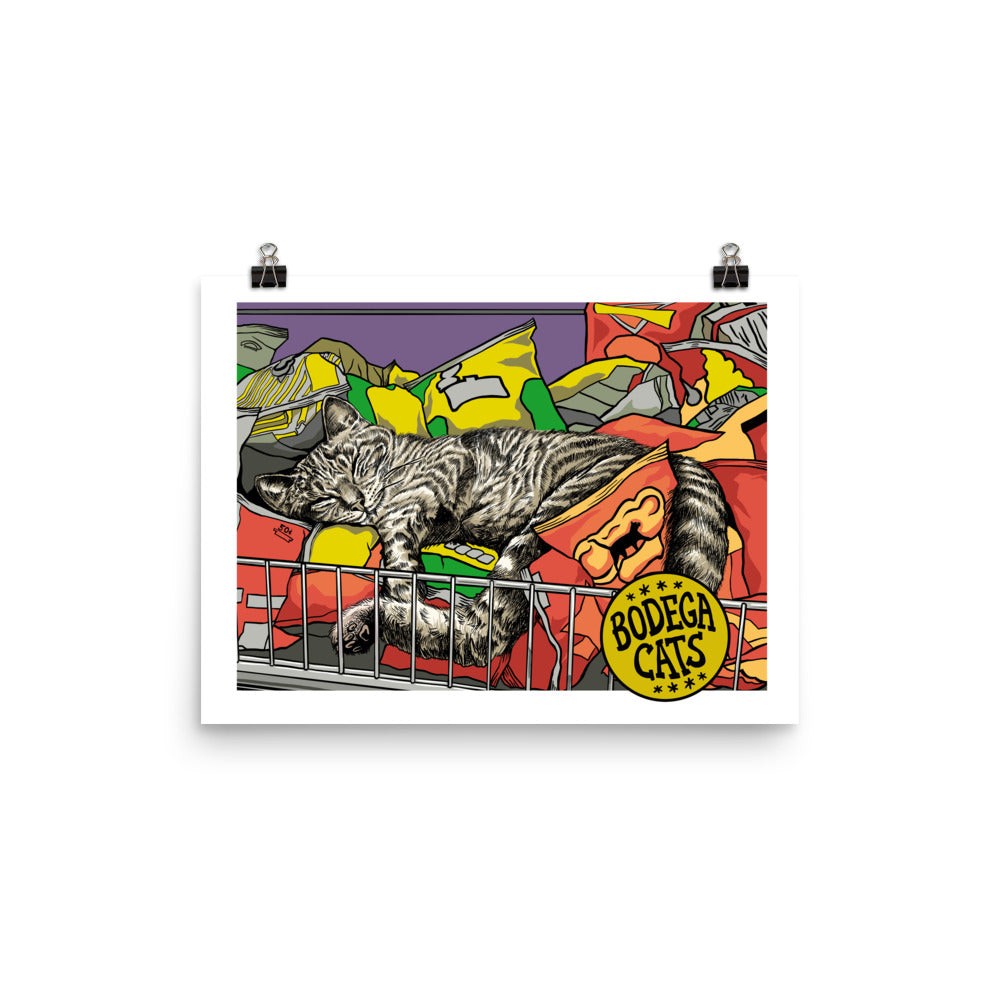 Chips Poster