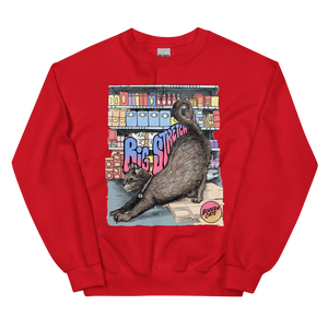 Big Stretch Unisex Sweatshirt